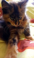/album/fotogaleria-beatrice/a2015-02-07-09-55-20-jpg/